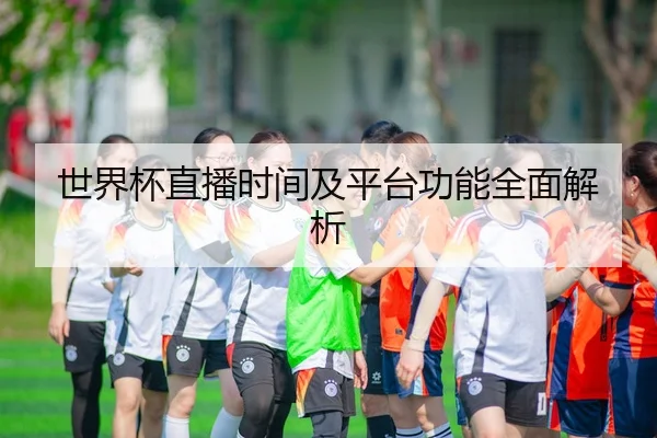 世界杯直播时间及平台功能全面解析