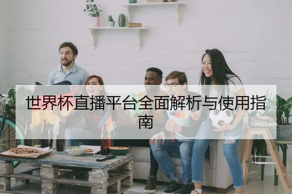 世界杯直播平台全面解析与使用指南