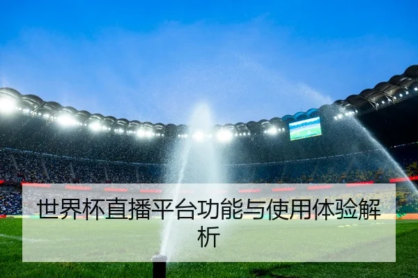世界杯直播平台功能与使用体验解析