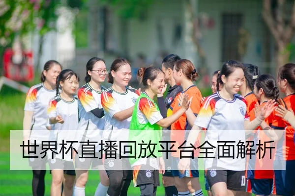 世界杯直播回放平台全面解析
