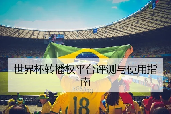 世界杯转播权平台评测与使用指南