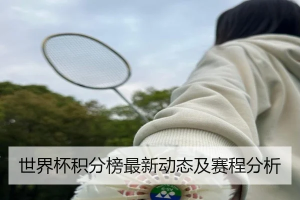 世界杯积分榜最新动态及赛程分析