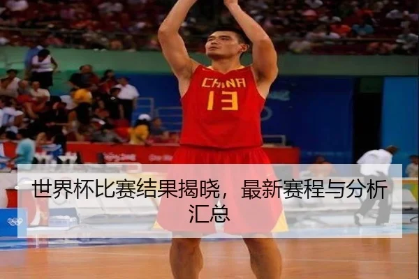 世界杯比赛结果揭晓，最新赛程与分析汇总