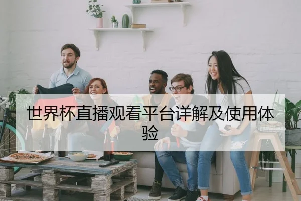 世界杯直播观看平台详解及使用体验