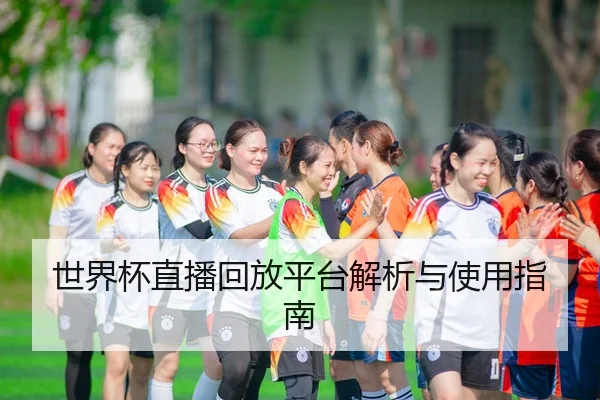 世界杯直播回放平台解析与使用指南