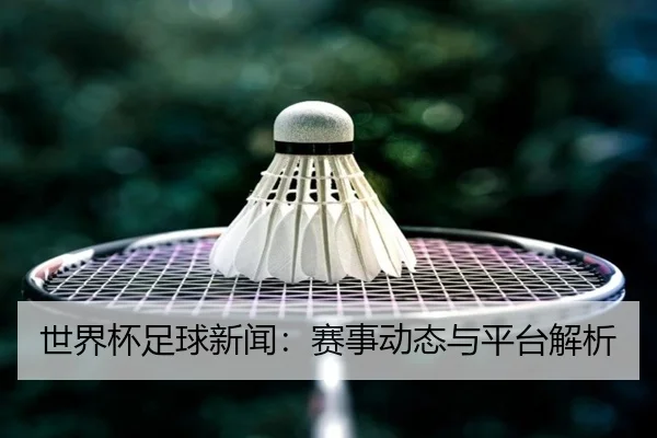 世界杯足球新闻：赛事动态与平台解析