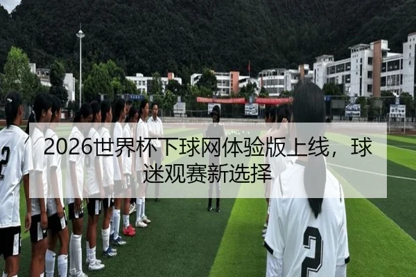 2026世界杯下球网体验版上线，球迷观赛新选择
