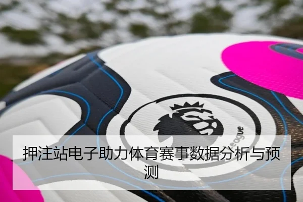 押注站电子助力体育赛事数据分析与预测